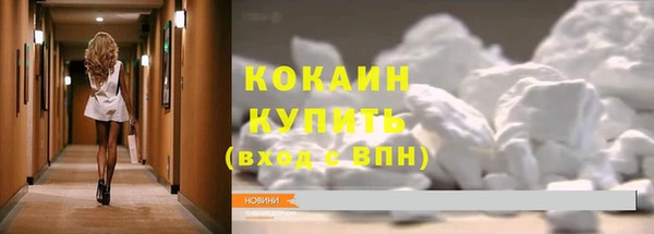 трава Арсеньев